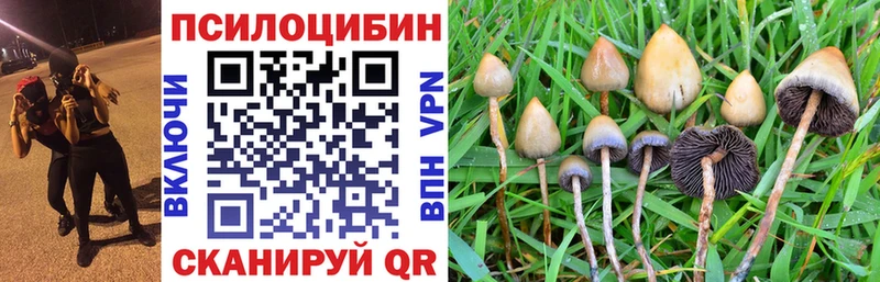 Псилоцибиновые грибы Psilocybe  OMG ONION  Карталы 